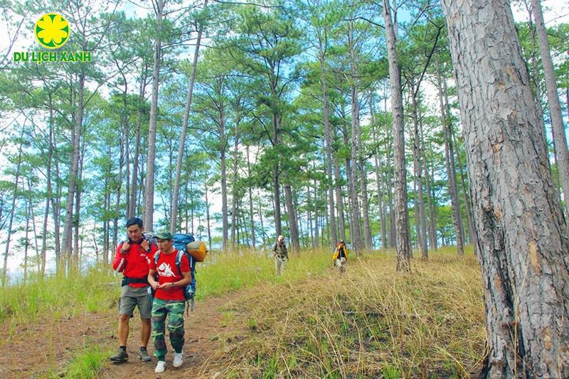 Kinh nghiệm đi Tour Trekking Bidoup Núi Bà Đà Lạt 