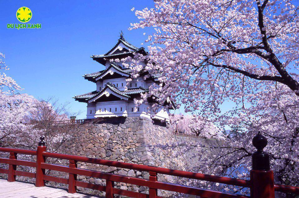 Tour Nhật Bản mùa thu rực lá đỏ 6 ngày 5 đêm