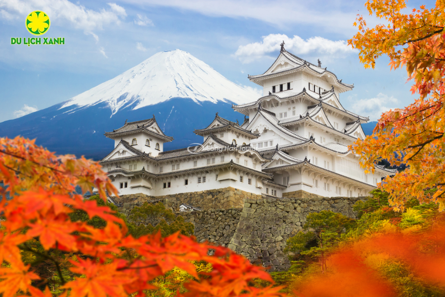 Cẩm nang và những lưu ý  du lịch mùa lá đỏ tại Nhật Bản