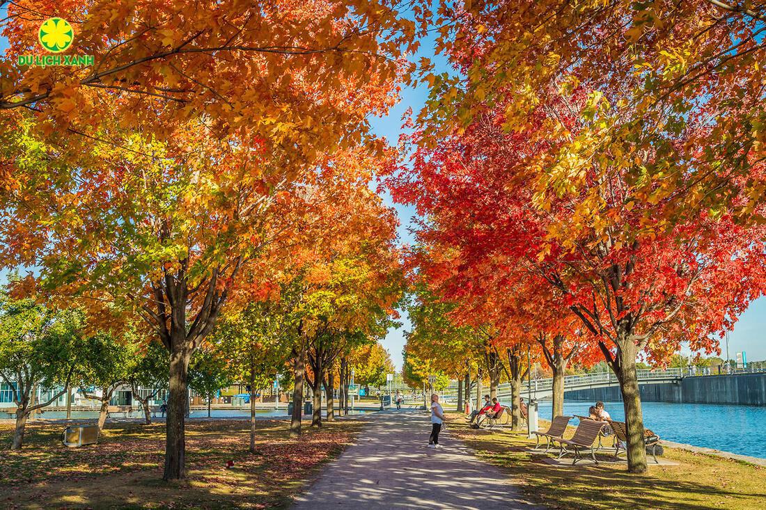 Kinh nghiệm đi du lịch Canada mùa lá phong