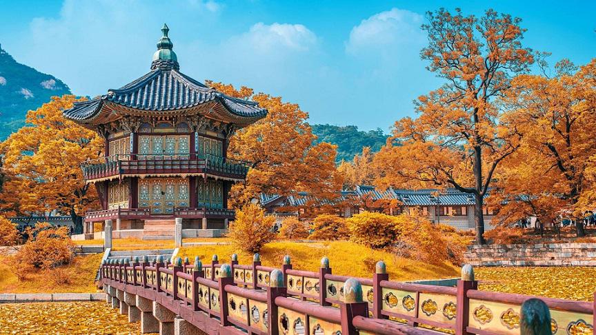 Bí kíp du lịch Hàn Quốc tiết kiệm nhất