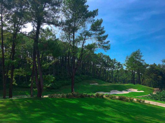 Tour golf Tràng An + Nghỉ tại The Reed Hotel Ninh Bình