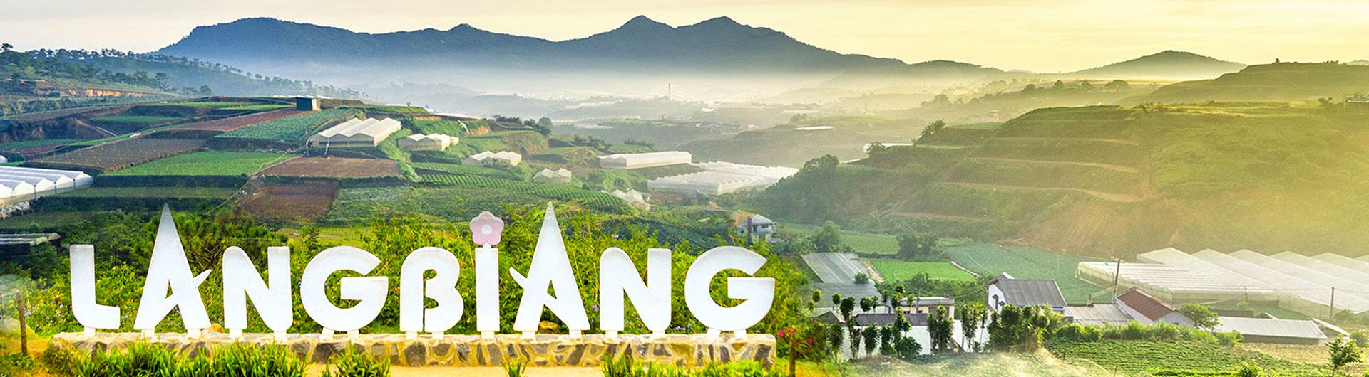 Tour Đà Nẵng - Đà Lạt - Thành Phố Ngàn Hoa 3 ngày 2 đêm