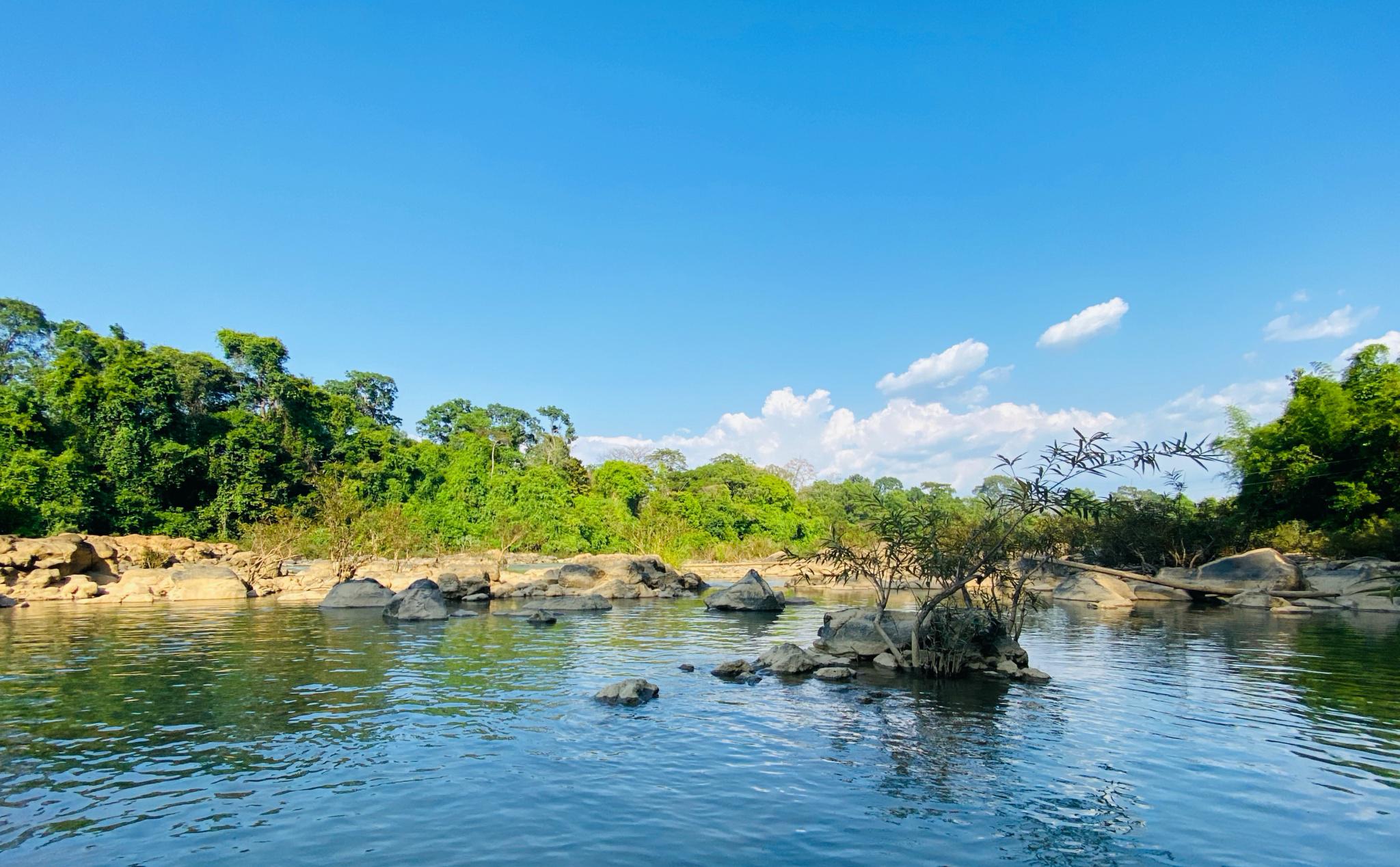 Tour Tết Nam Cát Tiên - Suối Mơ Park