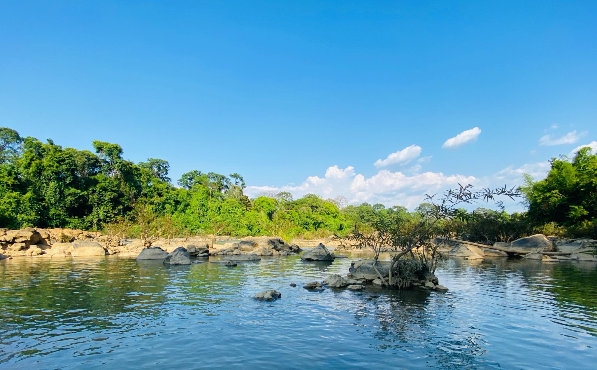 Tết Âm Lịch | Tour Nam Cát Tiên - Suối Mơ Park (2N1Đ)