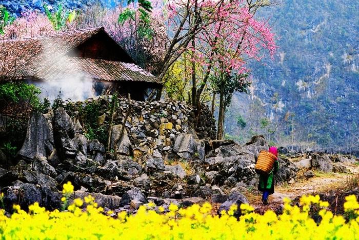 Tết Âm Lịch | Tour Hà Giang - Cao Bằng 4 ngày 3 đêm