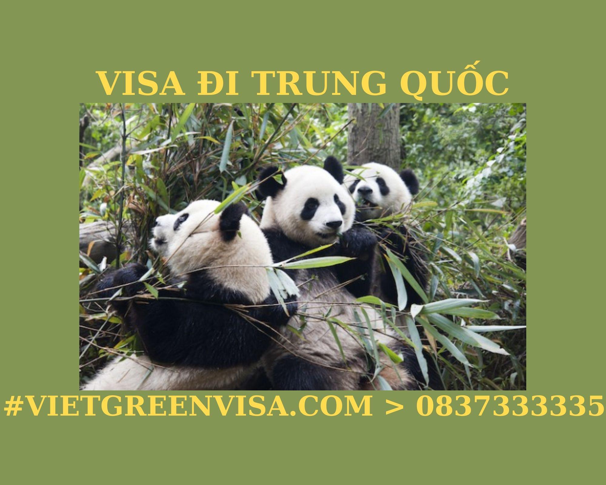 Dịch vụ xin visa làm thuyền viên đi Trung Quốc giá rẻ với Du Lịch Xanh