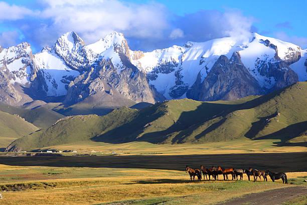 Dịch vụ xin Visa sang Kyrgyzstan tổ chức đám cưới, kết hôn