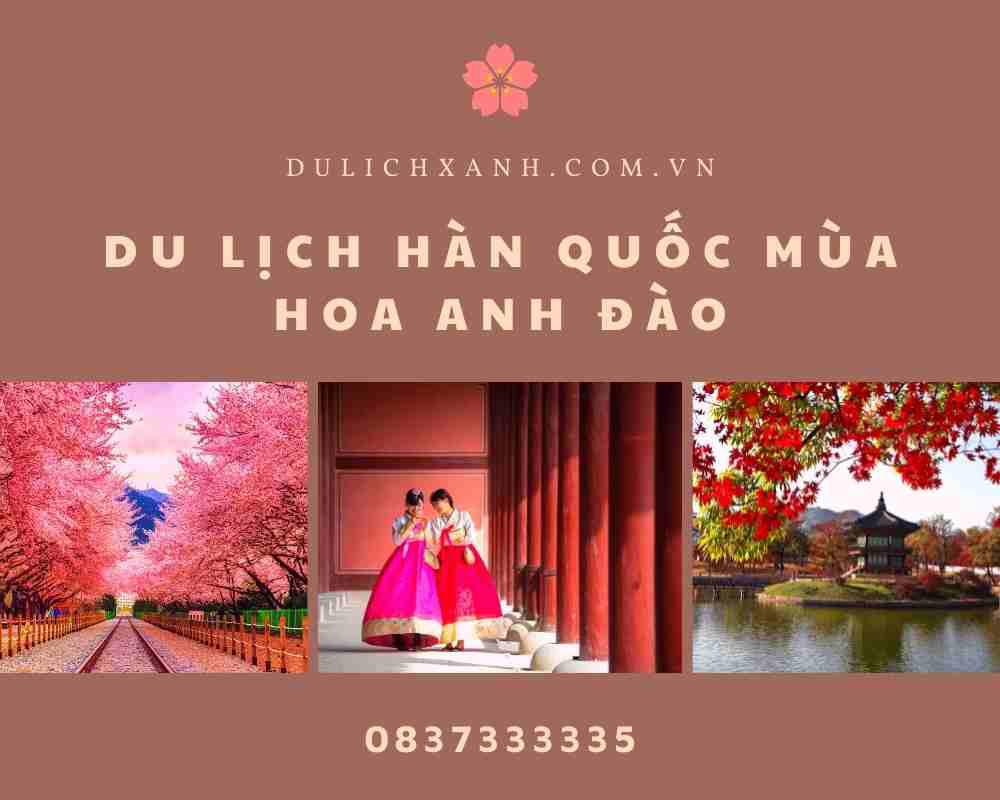 Tour du lịch Hàn Quốc mùa hoa Anh Đào | KH: Hà Nội