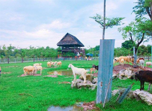 Tour du lịch Củ Chi tìm hiểu lịch sử kháng chiến của dân tộc