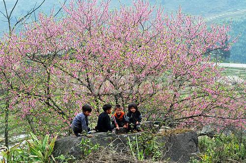 Tour Du Lịch Sapa: Hà Nội - Sapa - Moana - Fansipan - Bản Cát Cát 3 Ngày