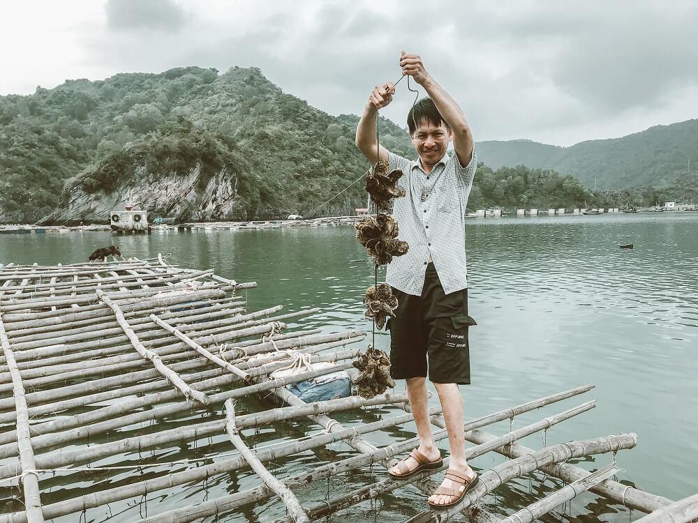 Tour Hạ Long Cát Bà 3 Ngày 2 Đêm | Du lịch Hạ Long