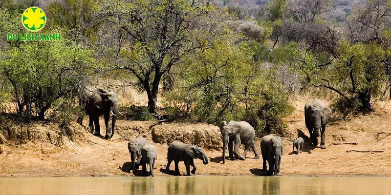 Tour Du Lịch Nam Phi - Johannesburg - Cape Town 8 ngày 