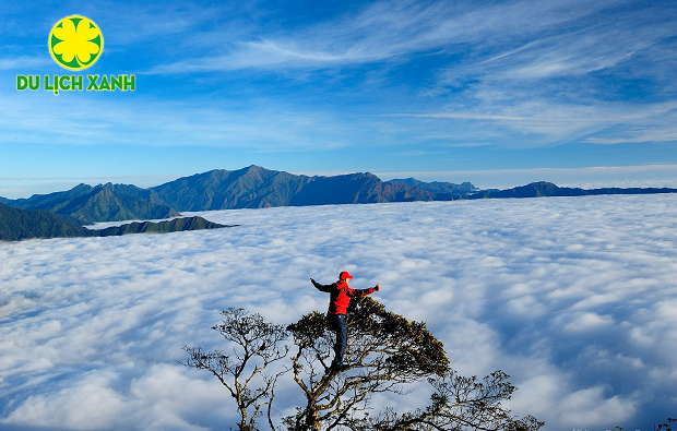 Du lịch Tà Xùa 4 ngày 3 đêm từ HCM - Tour Tà Xùa | Du Lịch Xanh