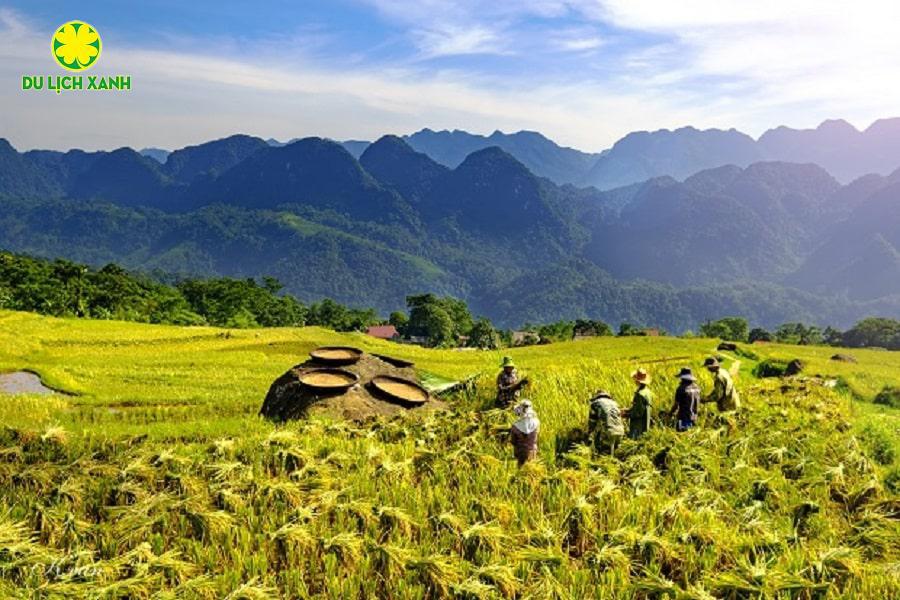 Du Lịch Xanh, kinh nghiệm du lịch pù luông mùa thu, du lịch pù luông mùa thu, tour du lịch pù luông