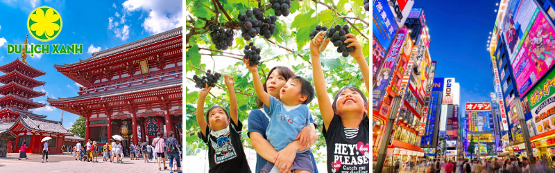 Du lịch Tết Nhật Bản, Tour đi Nhật Bản 6 ngày, Tour du lịch Nhật Bản