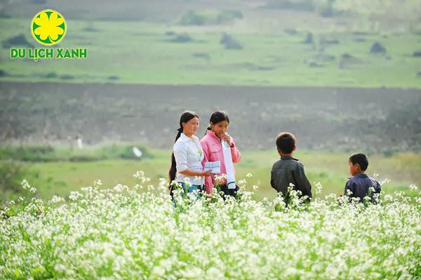 Tour du lịch Mộc Châu - Tà Xùa 2 ngày 1 đêm dịp lễ 2/9