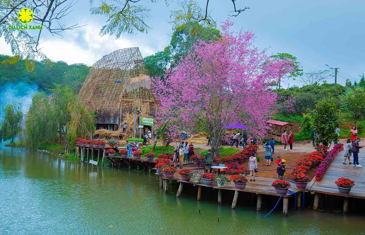 TOUR DU LỊCH HUẾ - MĂNG ĐEN 2 NGÀY 1 ĐÊM TỪ HUẾ