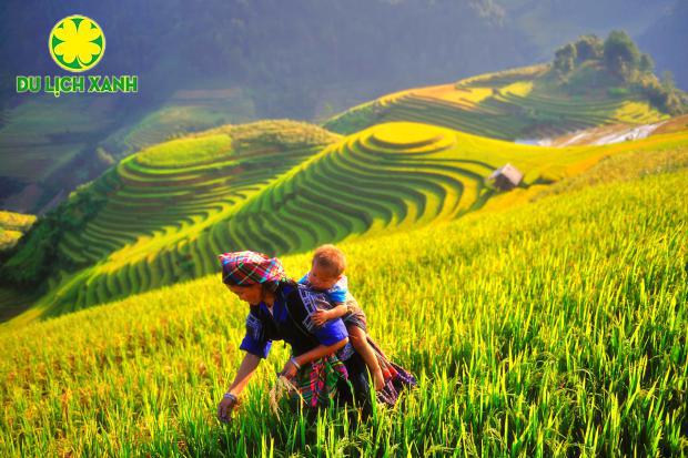 Tour Mùa Thu Tây Bắc: Hà Nội - Mù Cang Chải 3 ngày