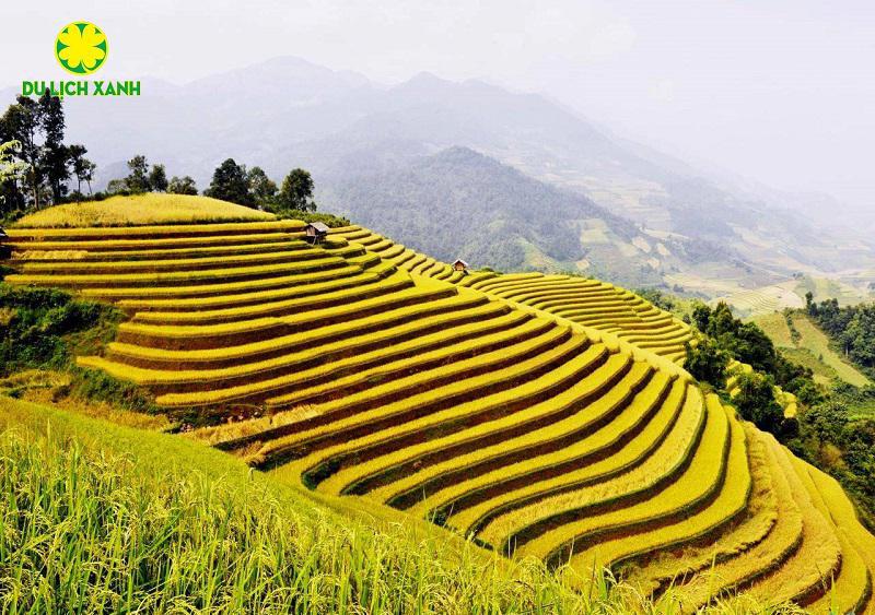 Tour Mùa Thu Tây Bắc:  Hà Nội Sapa Fansipan 3 ngày 2 đêm