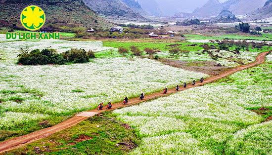 Tour Mùa Thu Tây Bắc: Hà Nội - Mộc Châu - Tà Xùa 2 ngày