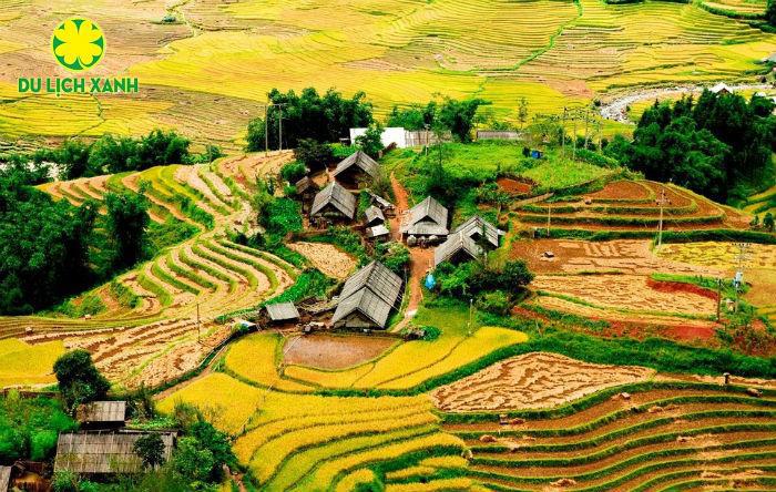 Tour Mùa Thu Tây Bắc: Mù Cang Chải - Sapa - Y Tý 4N3D