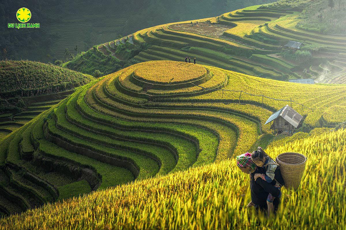 Tour du lịch Mùa Thu Tây Bắc: Hồ Chí Minh - Mù Cang Chải 5 ngày 4 đêm