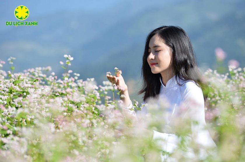 Tour Hà Giang mùa hoa tam giác mạch, Tour ngắm hoa tam giác mạch ở Hà Giang, Tour du lịch Hà Giang mùa hoa tam giác mạch, Tour du lịch Hà Giang - Sông Nho Quế, Du Lịch Xanh