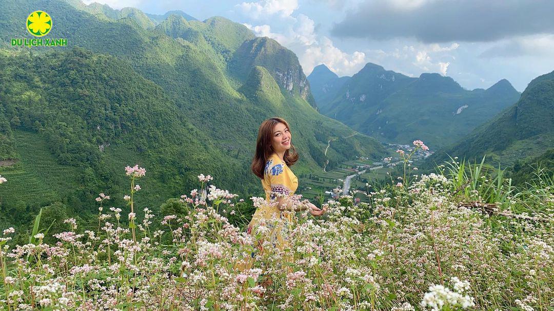 Tour hoa tam giác mạch từ Sài Gòn, Tour Hà Giang mùa hoa tam giác mạch, Tour ngắm hoa tam giác mạch ở Hà Giang, Tour du lịch Hà Giang mùa hoa tam giác mạch, Du Lịch Xanh