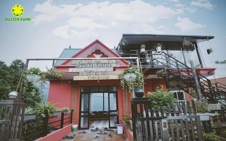 Bách Xanh House, Bách Xanh House Tam Đảo, Bách Xanh House Homestay Tam Đảo
