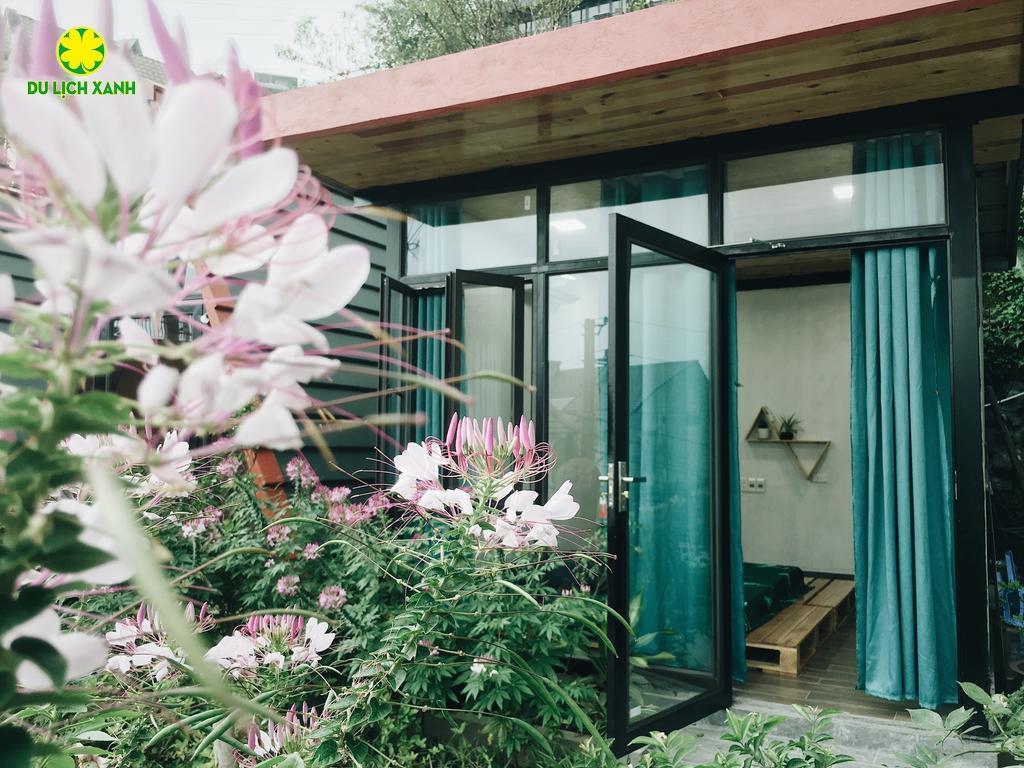 Bách Xanh House, Bách Xanh House Tam Đảo, Bách Xanh House Homestay Tam Đảo