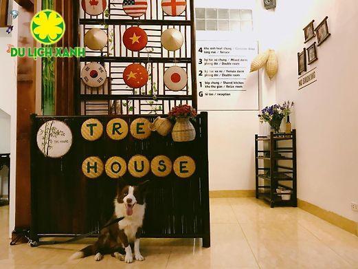 Tre House Homestay giá khuyến mại hấp dẫn 