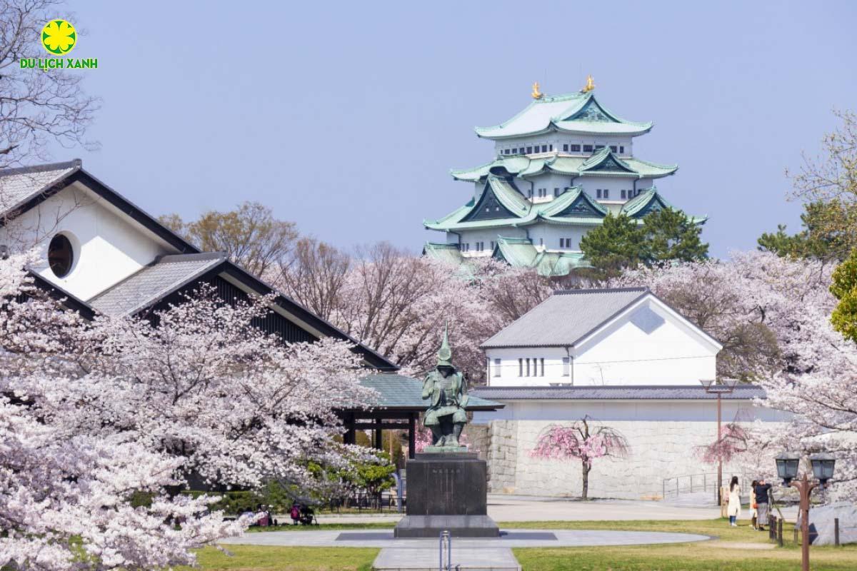 Tour Du Lịch Nhật Bản Mùa Hoa Anh Đào 2025 Nagoya – Shirakawa go – Takayama – Fuji – Tokyo, Tour Hoa Anh Đào Nhật Bản, Du Lịch Xanh