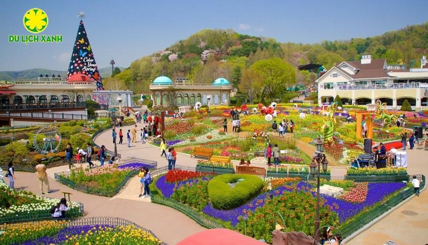 Tour Hoa Anh Đào Hàn Quốc Hà Nội - Seoul-Nami- Everland-Ngắm Hoa Anh Đào Công Viên Yeouido