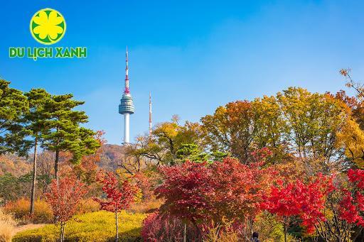 Tour Hoa Anh Đào Hàn Quốc Hồ Chí Minh - Hoa Anh Đào - Đảo Nami - Everland – Hái Dâu – Namsan, Tour Hoa Anh Đào Hàn Quốc, Du Lịch Xanh