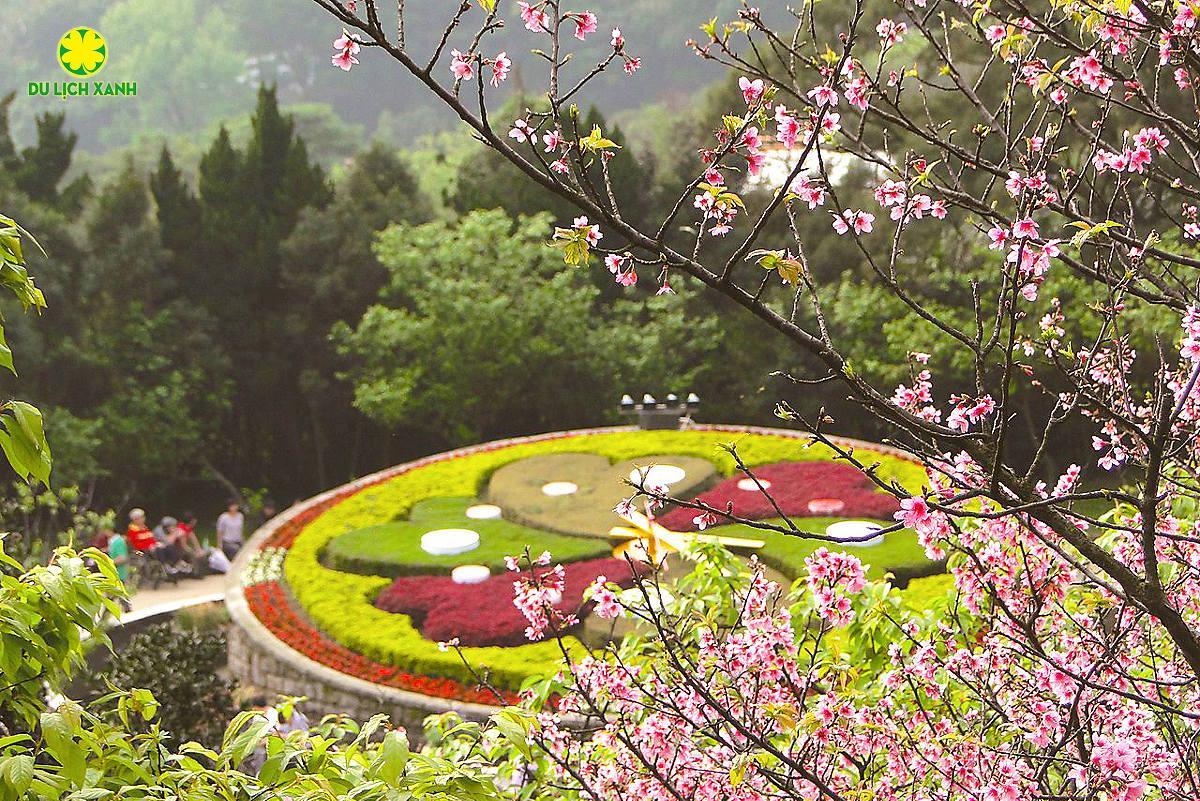 Tour Hoa Anh Đào Đài Loan - Đà Nẵng - Cao Hùng - Đài Trung, Tour Hoa Anh Đào Đài Loan, Du Lịch Xanh