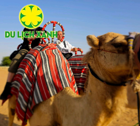 Tour bay khinh khí cầu Dubai, Cưỡi lạc đà Dubai hot nhất