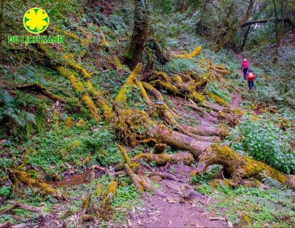Tour trekking leo núi Sa Mu - U Bò 2 ngày