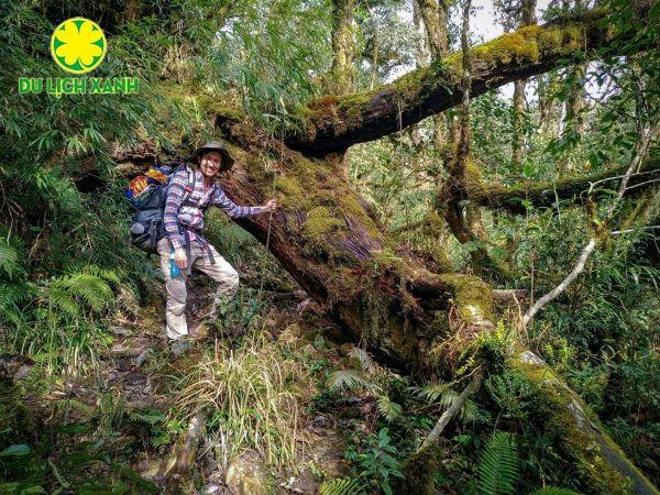 Tour trekking leo núi Pu Ta Leng 3 ngày