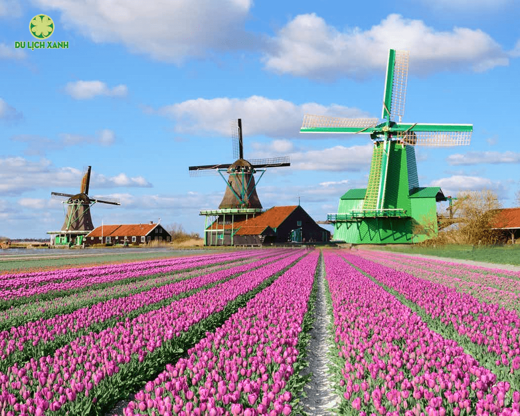Tour Đức Thụy Sĩ Pháp Bỉ Hà Lan , Du lịch Châu Âu, Du lịch Xanh