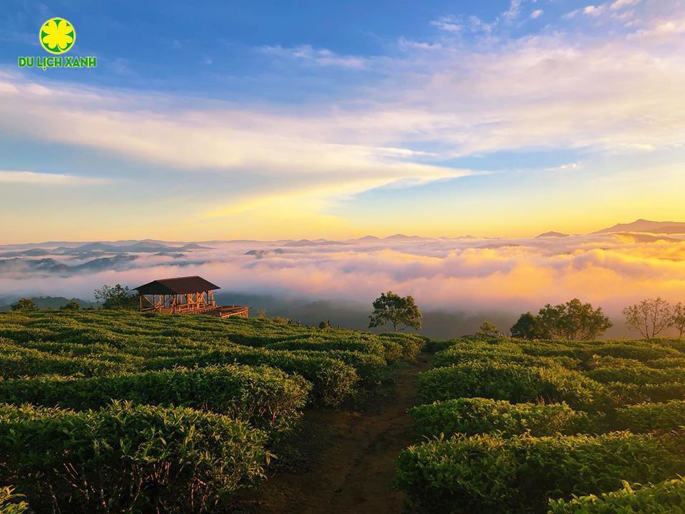 Tour Sài Gòn-Đà Lạt 2N1Đ giá rẻ 2025