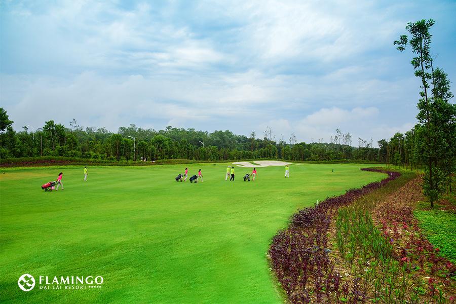 Đại Lải Flamingo Golf & Club - 18 hố - ngày thường