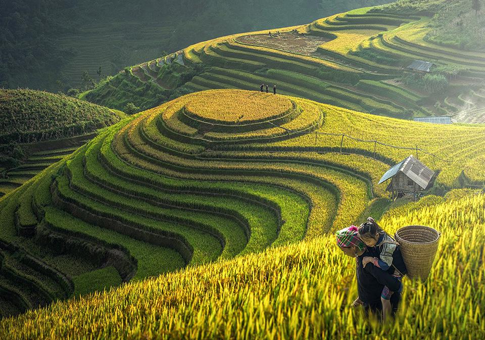 Tour Đà Nẵng - Hà Nội - Sapa 3 ngày 2 đêm | Du lịch Xanh