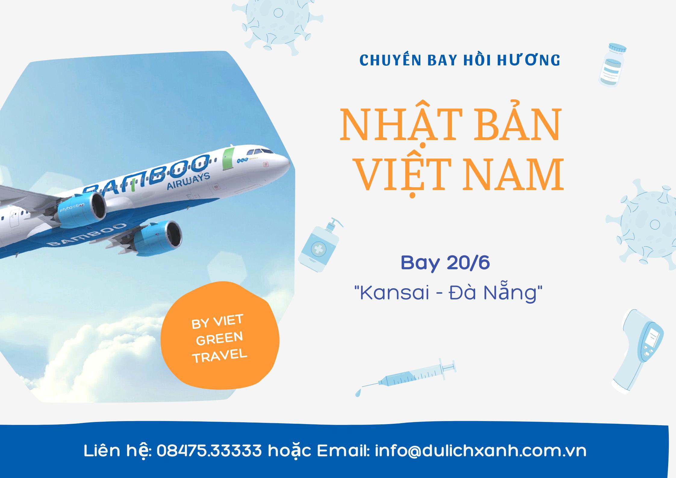 Bay Bamboo nhập cảnh từ Nhật Bản + Cách ly 21 ngày