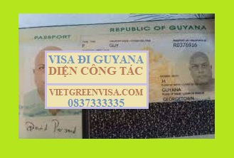 Hỗ trợ xin Visa Guyana công tác uy tín, giá rẻ, nhanh gọn