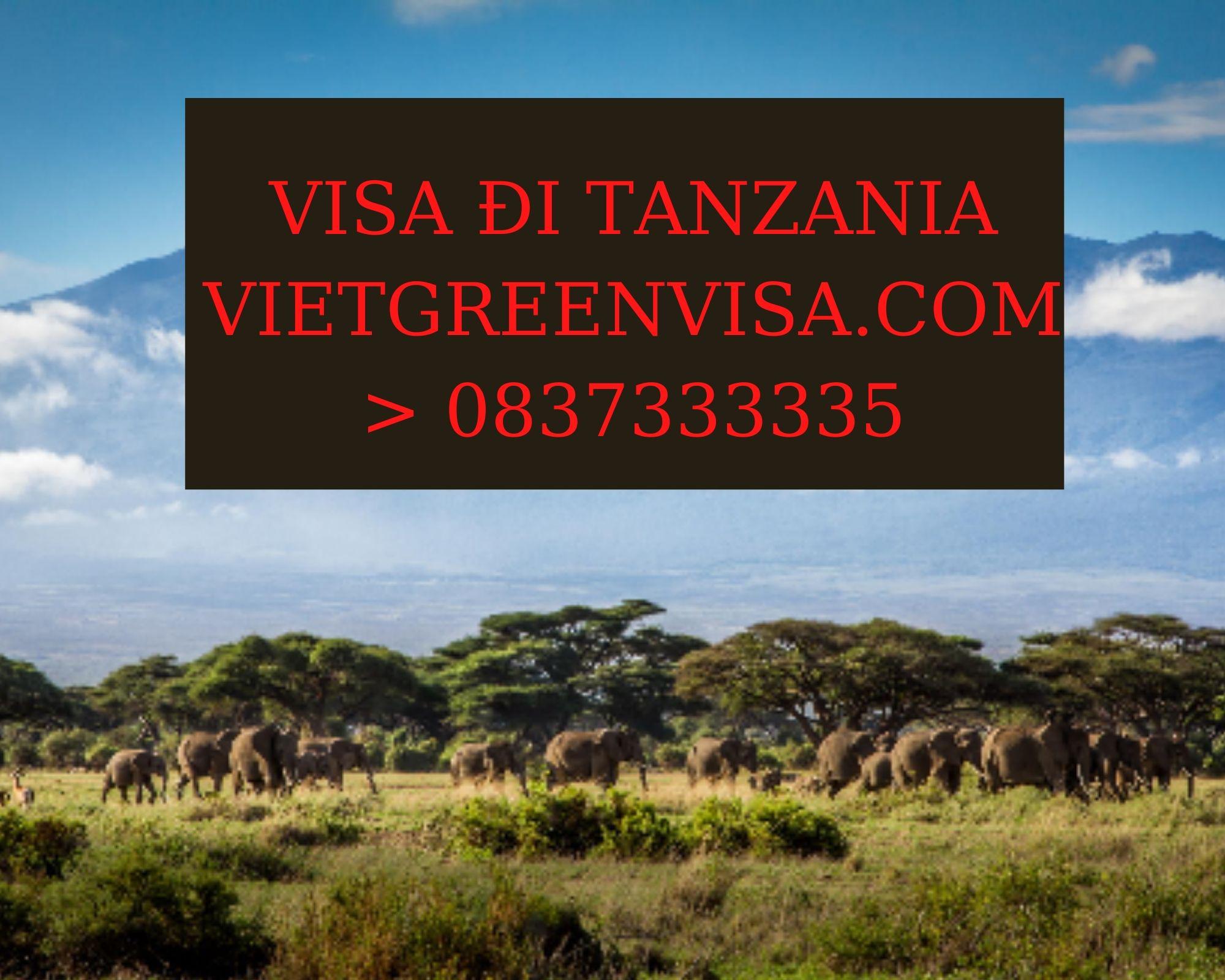 Làm Visa du lịch Tanzania uy tín, trọn gói  