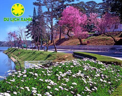 Tour Tết Hồ Chí Minh - Đà Lạt 4 ngày