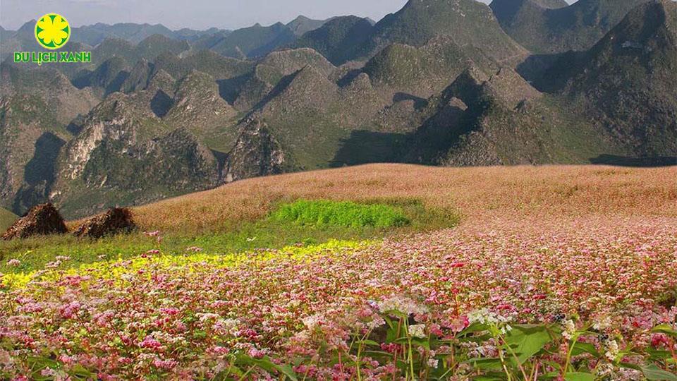 Tour du lịch Hà Giang Tết 2024 | Tour Đồng Văn - Lũng Cú - Sông Nho Quế 3 ngày 2 đêm