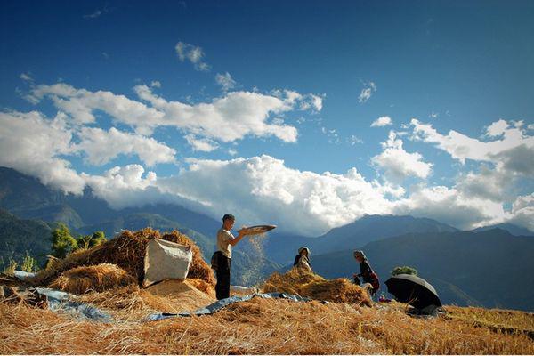 Tour du lịch Hà Nội - Sapa 3 ngày 2 đêm 