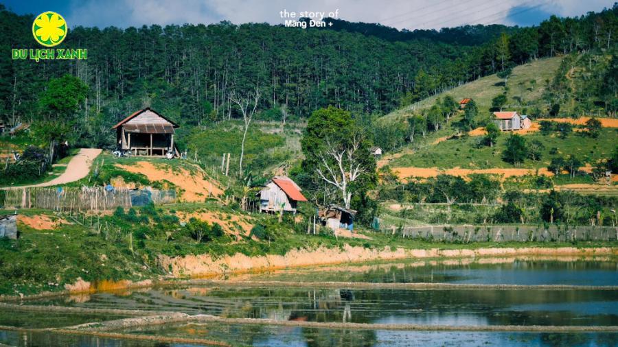 TOUR DU LỊCH HUẾ - MĂNG ĐEN 3 NGÀY 2 ĐÊM 